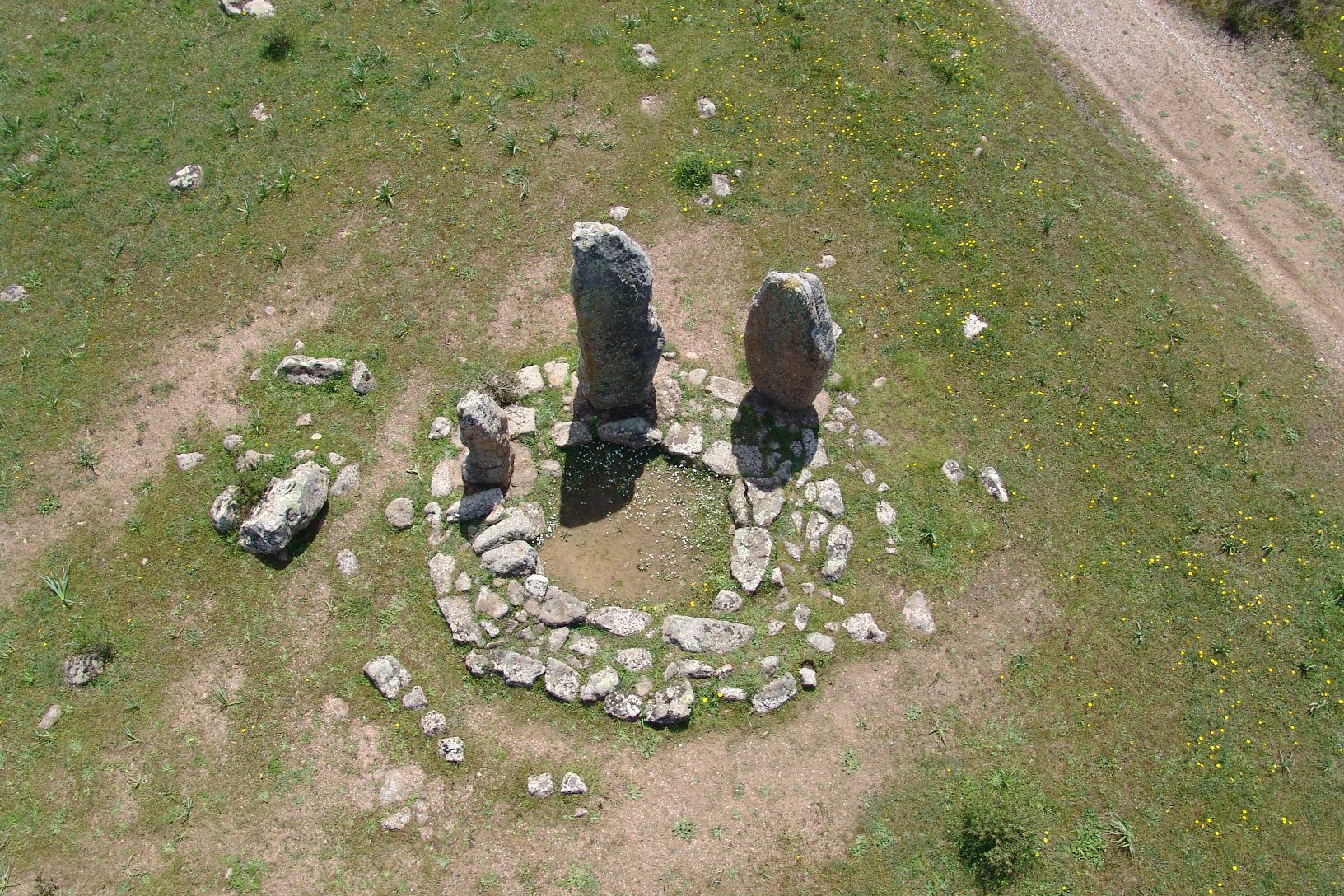 Image 4